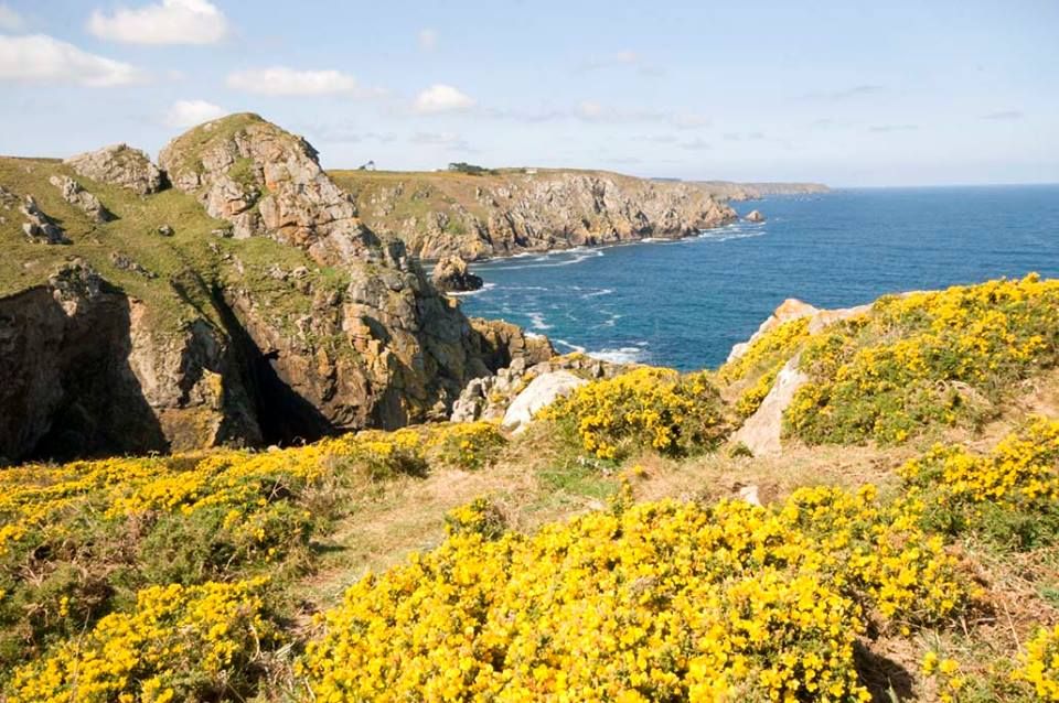 La Réserve du Cap Sizun près d'Audierne dans le Finistère