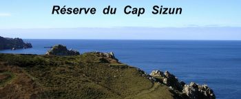 PAGE  FACEBOOK